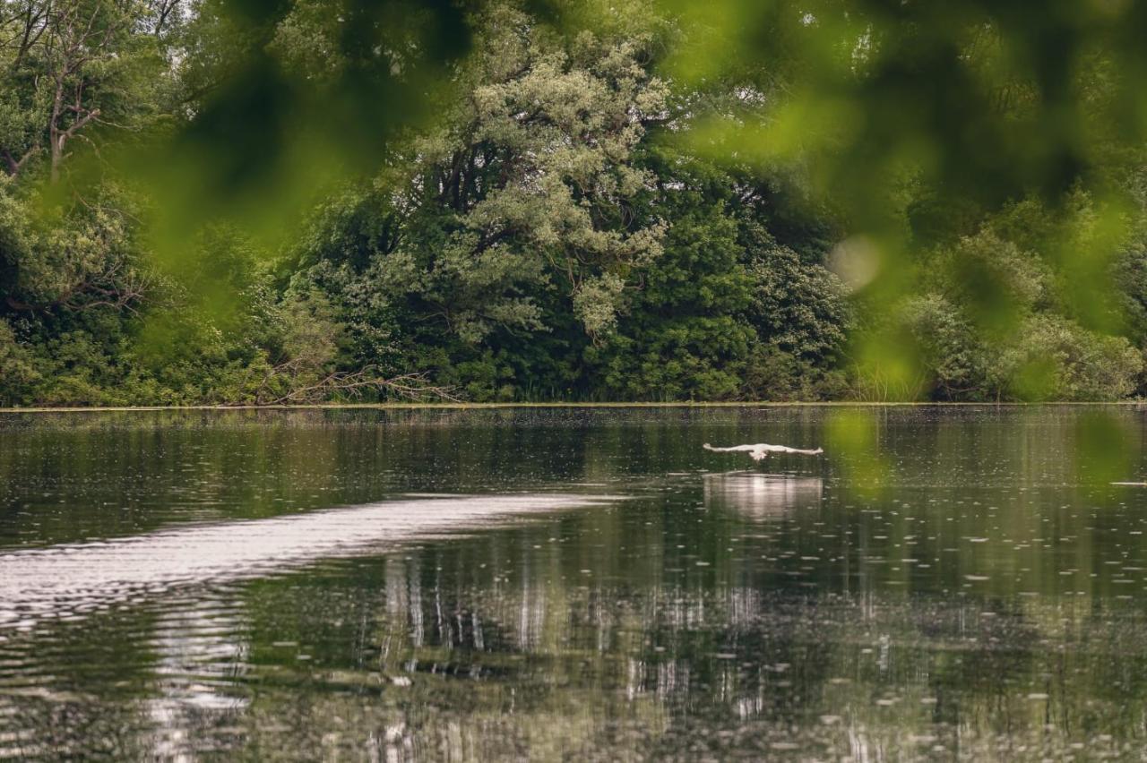 Rajski Vrt - Lake House - Paradise Garden Sisak Bagian luar foto